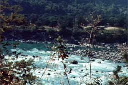 Ganges Flowers
